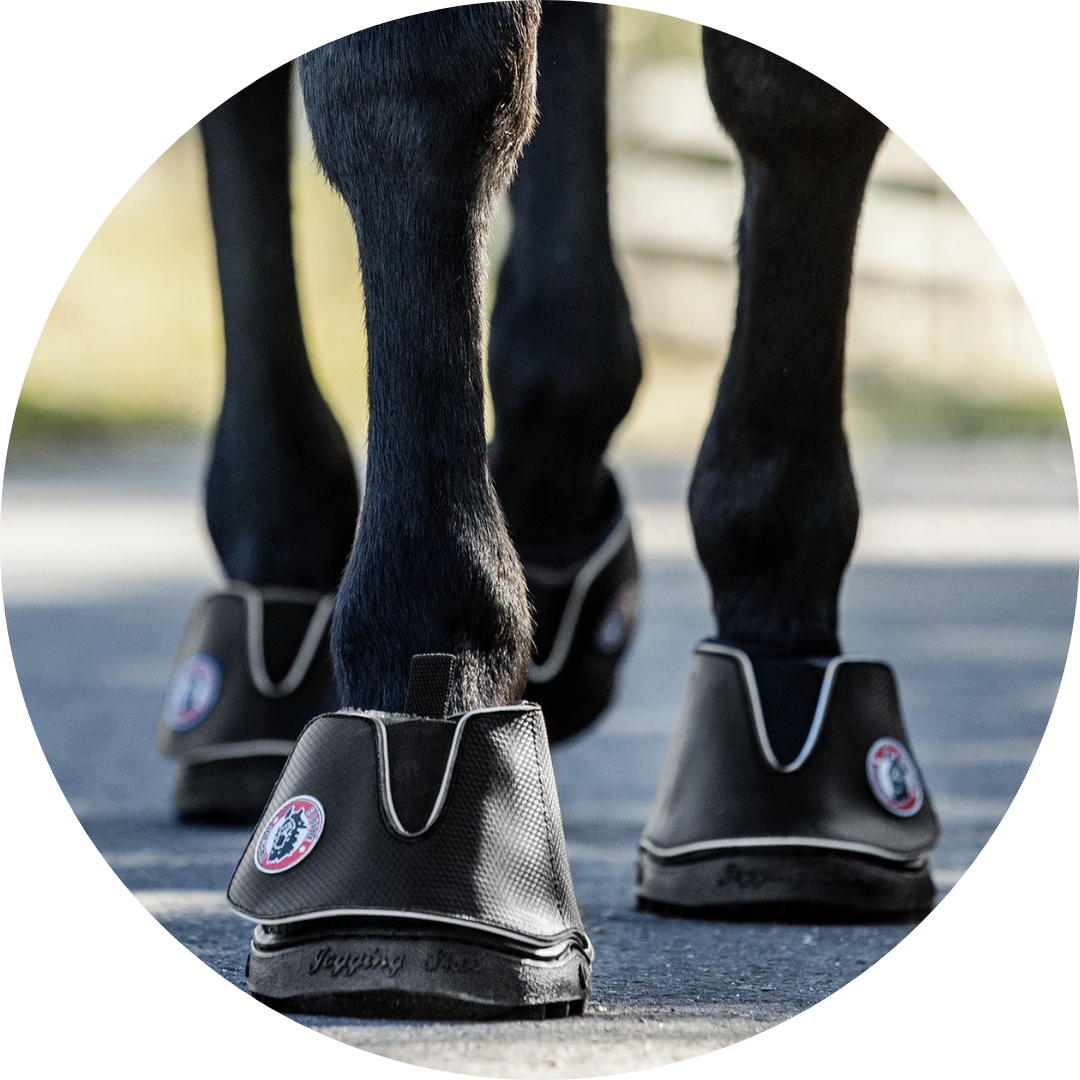 hoof boots