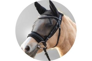 Fly Protection Horse