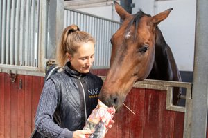 Horse Candy