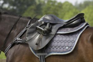 Saddles & Saddle Accessories Horse