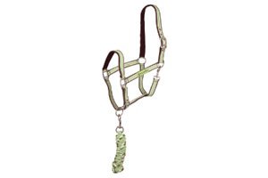 Halter & Leads Horse