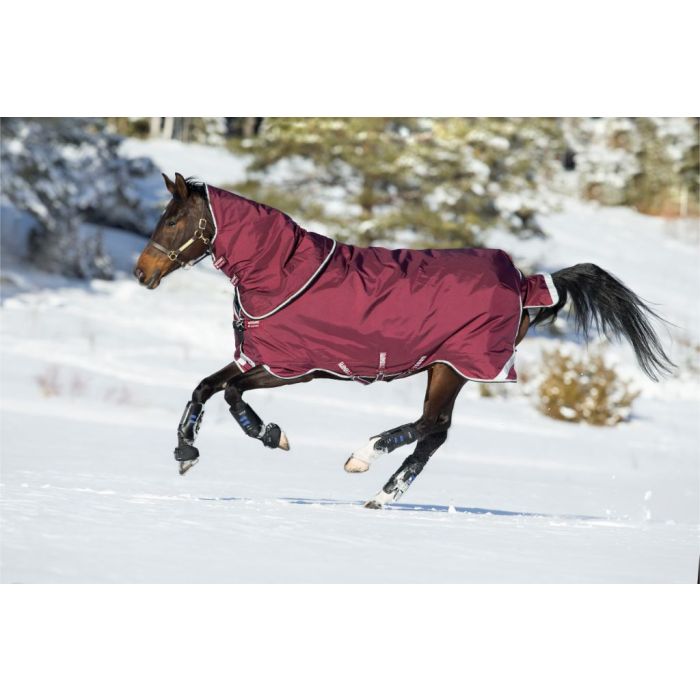 Horseware Rambo Duo Buy Online Minihorsestore Com