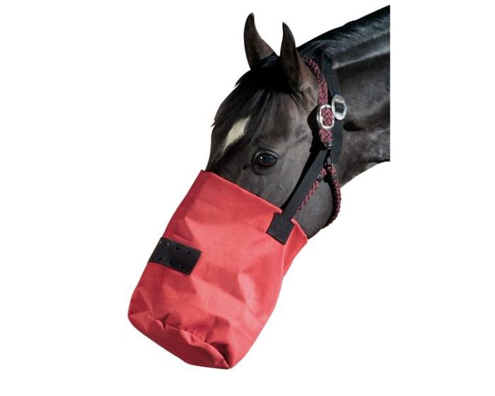 Horse feed bag sale