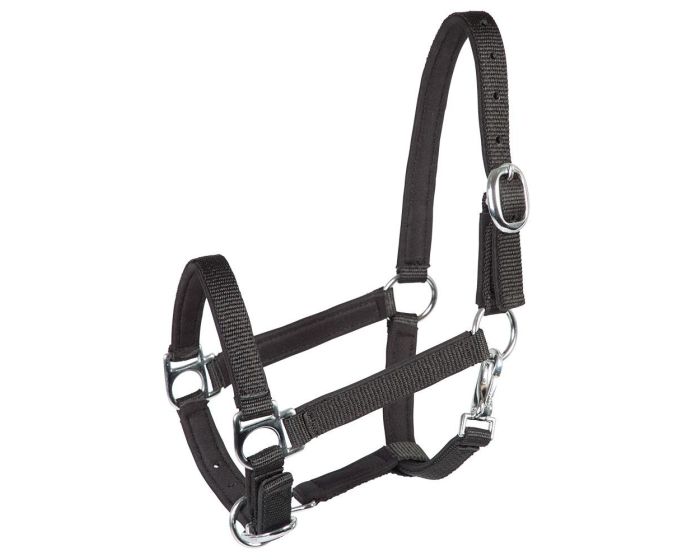 PFIFF Soft foal halter main product photo