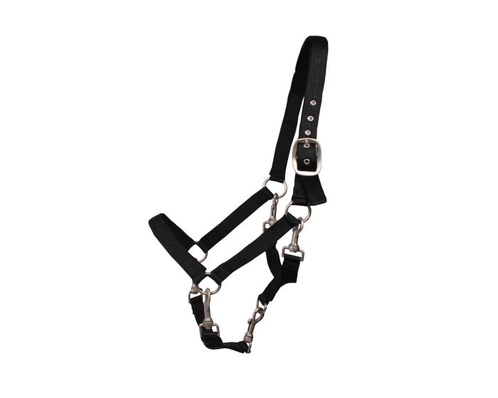 QHP Toiletteer halter main product photo