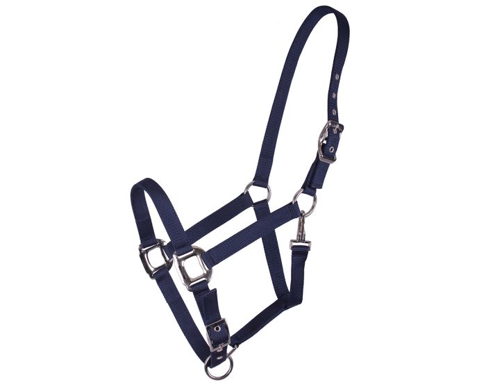 QHP Halter Amos main product photo
