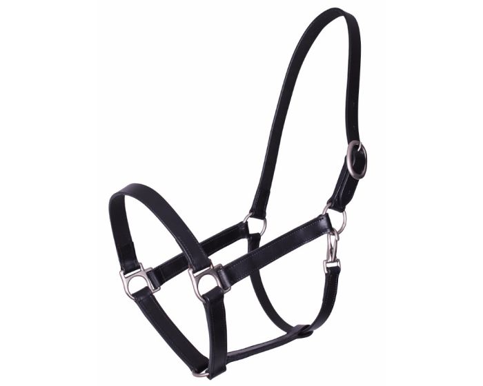 QHP Boaz Leather Halter main product photo