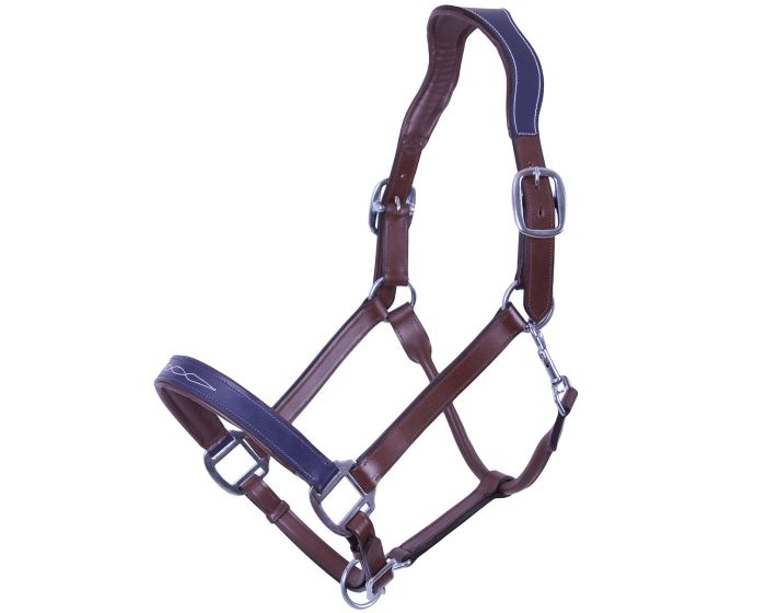 QHP Halter Shiva main product photo