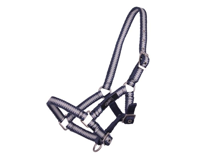 QHP Halter foal collection main product photo