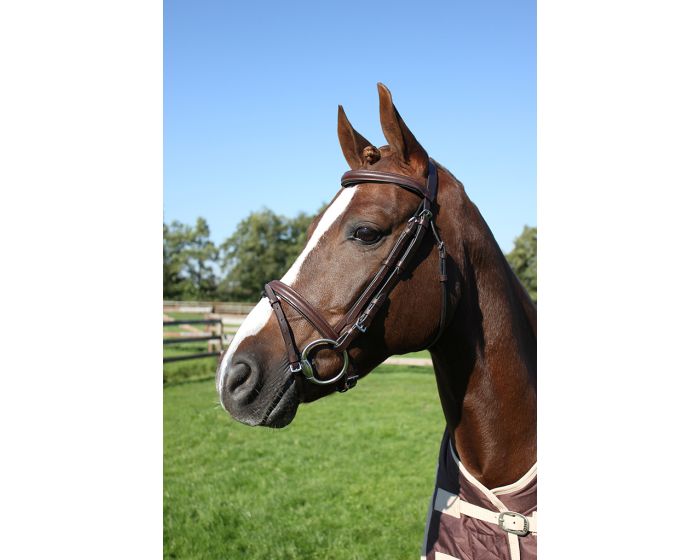QHP Inicio Bridle main product photo