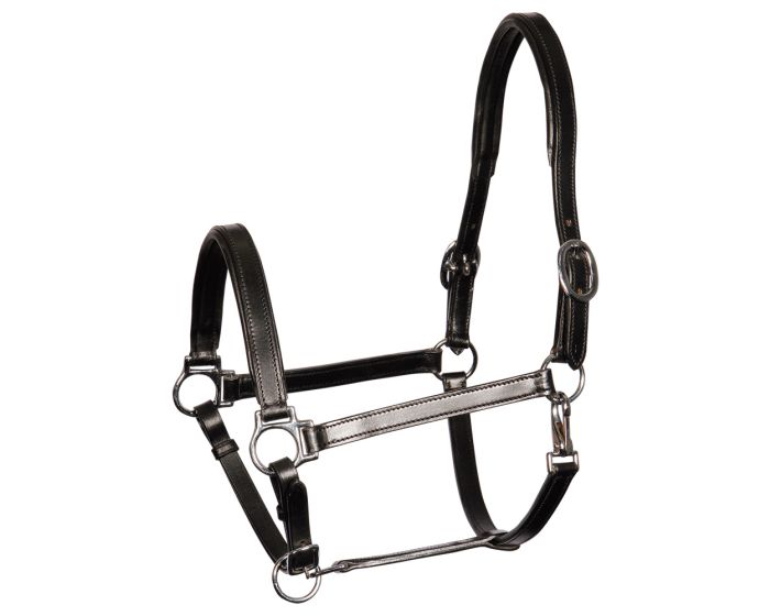 Harry's Horse Head collar leather Finesse main product photo