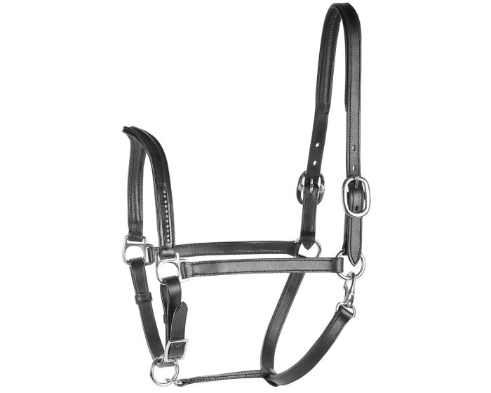 Harry's Horse Head collar leather crystal V main product photo