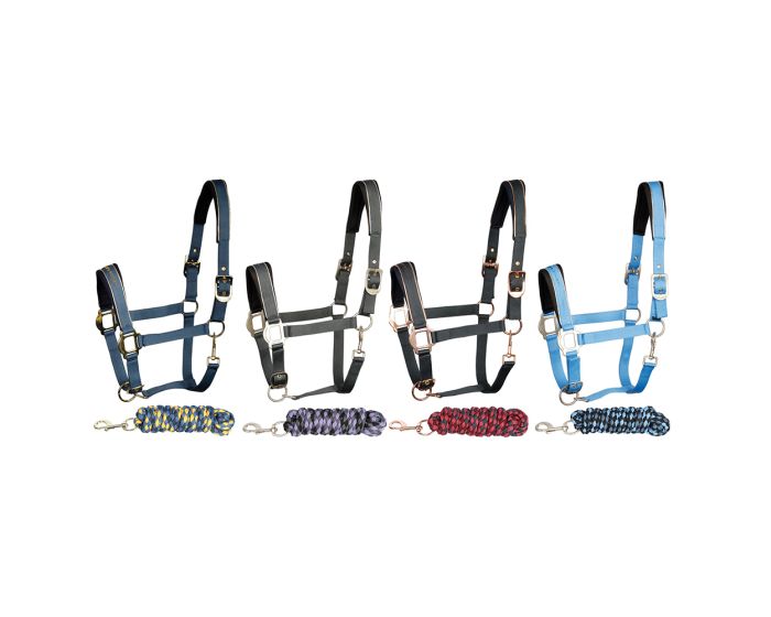 Harry's Horse Halterset Metallic 19 main product photo