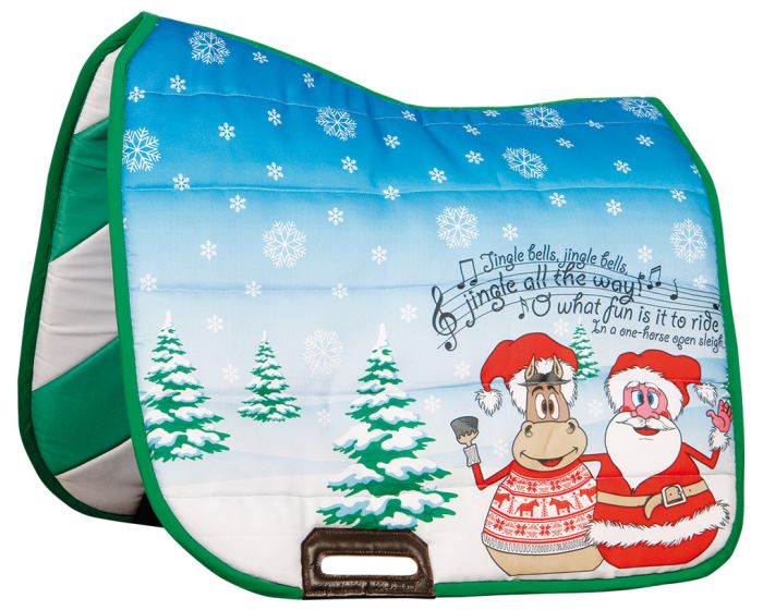 Harry's Horse Saddlebridoon X-mas 2-in-1 main product photo