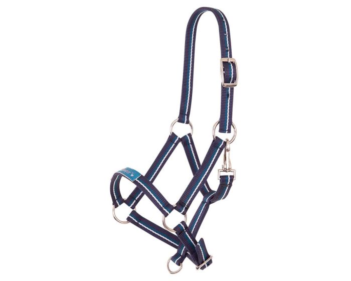 Premiere Halter foal Fun main product photo