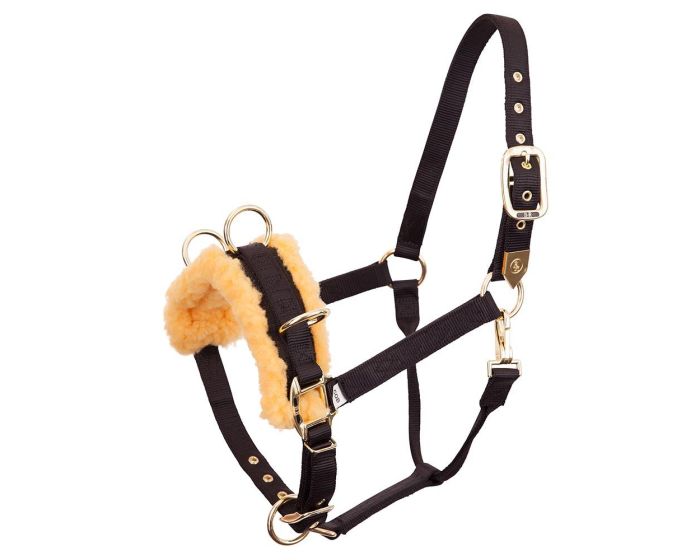 BR Cavesson main product photo
