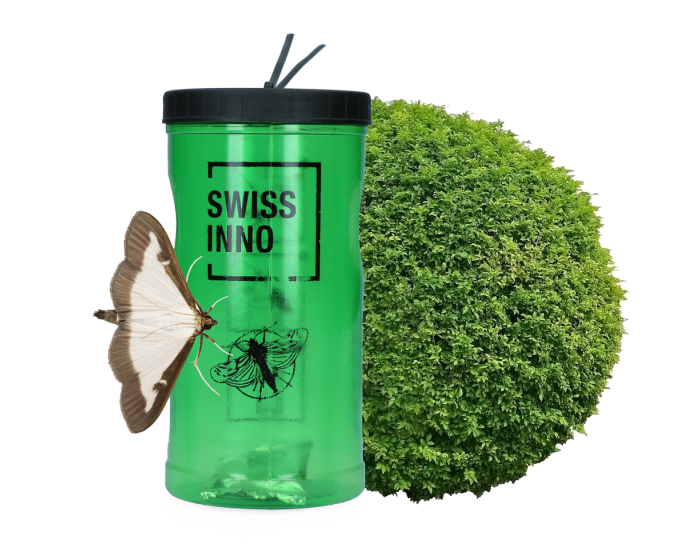 Hofman Boxwood moth trap including attractant main product photo