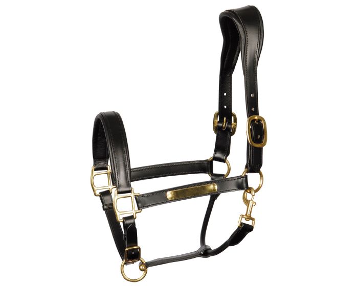 Harry's Horse Halter leather Anatomic main product photo