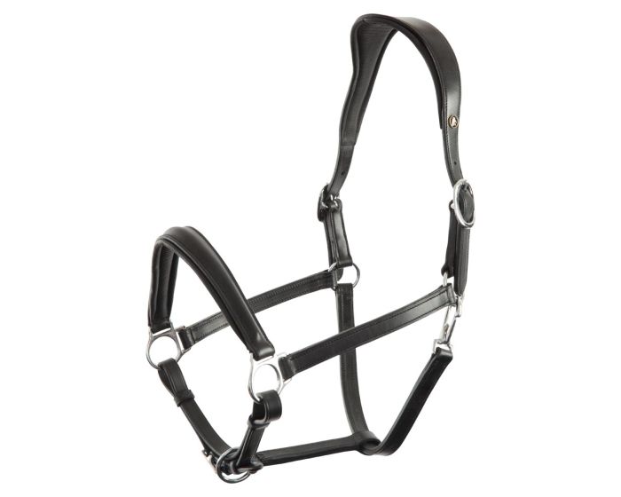 BR Halter Aberdeen anatomical headpiece main product photo