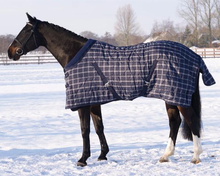 QHP Blanket stable luxury 150gr main product photo