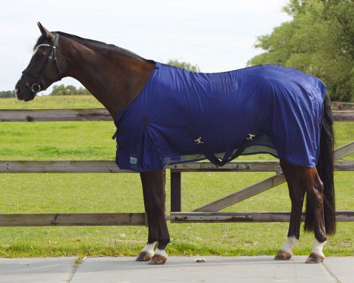 QHP Fly rug basic main product photo