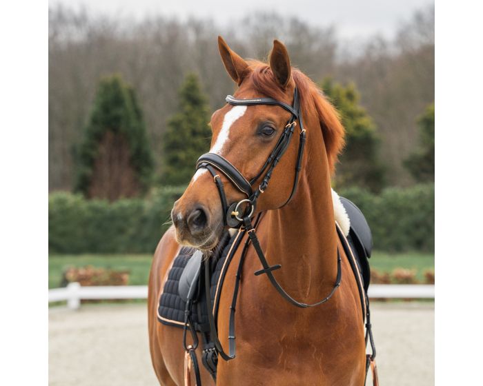 horka HEADSTALL DELUXE main product photo