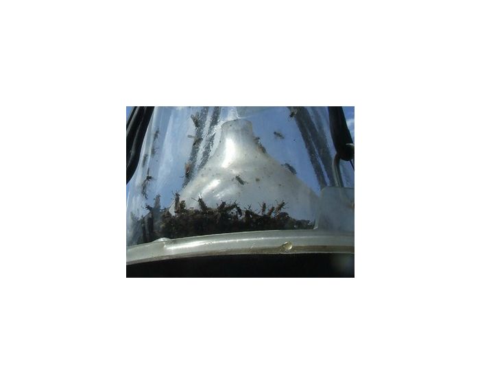 Hofman Horsefly trap Lurking funnel loose main product photo
