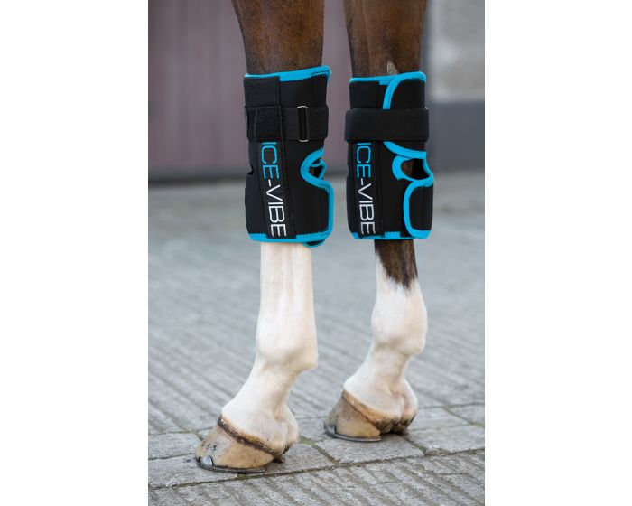 HORSEWARE PRODUCTS LTD DBHK72 main product photo