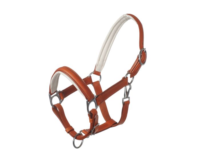 MHS Leather Halter "Mocca" main product photo