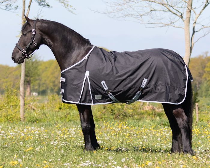 QHP Turnout rug Big Neck 300gr main product photo