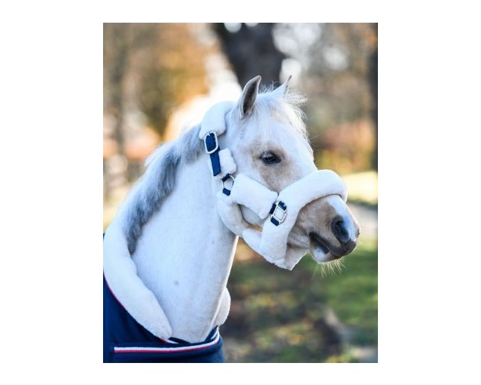 HB Showtime harry and hector fluffy halter little sizes main product photo