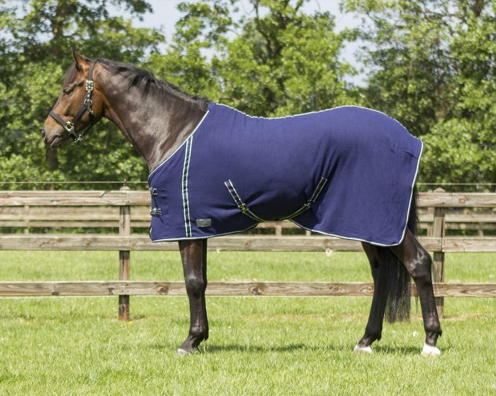 QHP Blanket fleece basic with webbing main product photo