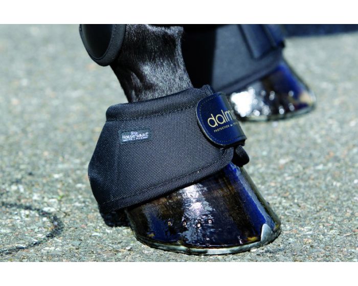 Dalmar boots sales
