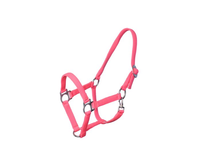 MHS Halter "Economic Neon" main product photo