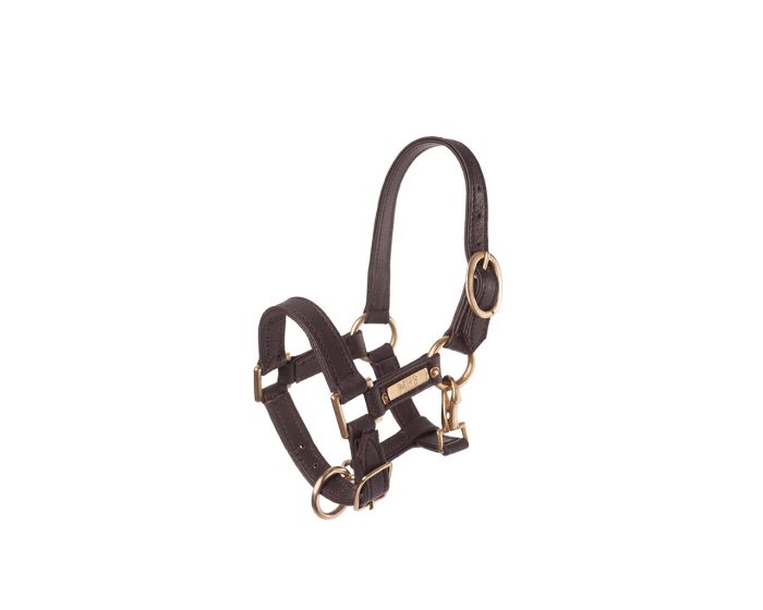 Fancy Stitched Leather Halter - World Equestrian Brands