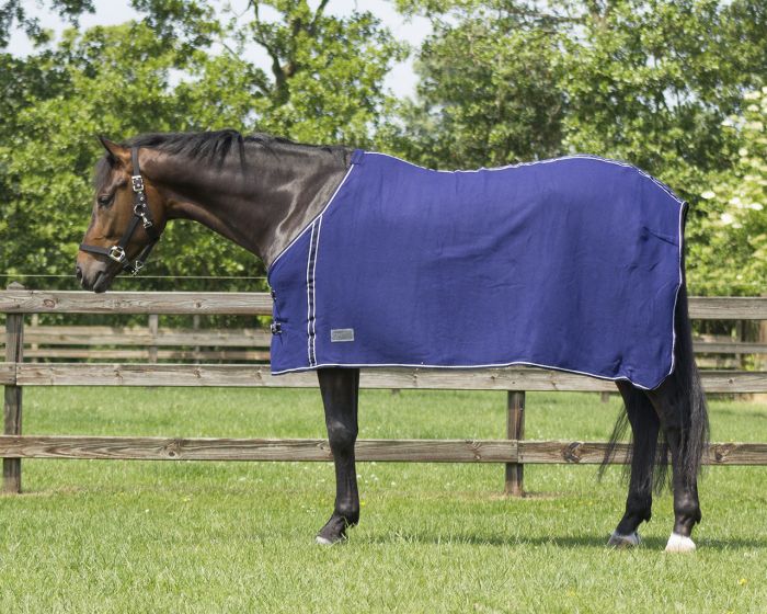 QHP Rug fleece basic without girths main product photo