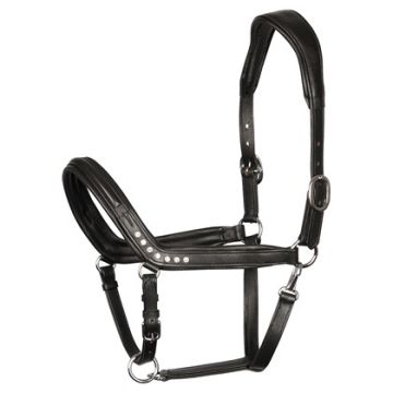 Harry's Horse Halter leather Crystal anatomic
