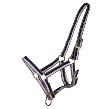 QHP Halter Collar Foal Stripe