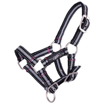 QHP Head Collar Foal Stripe Stripe 04
