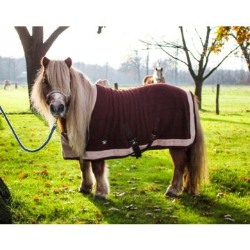 zeewier Overzicht Beschrijven Fleece Rugs - Rugs To 165cm - SHETLAND PONY