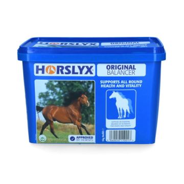 Horslyx Mini Original