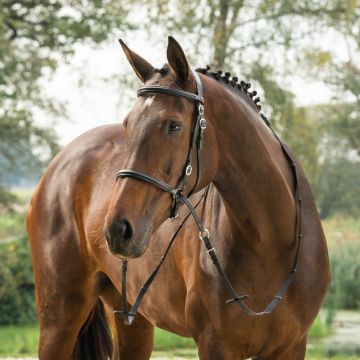 horka BRIDLE BITLESS