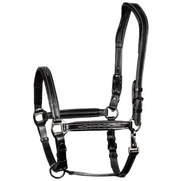 Harry's Horse Halter leather, Supreme