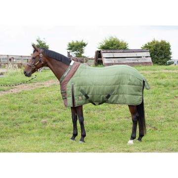 Harry's Horse Stable rug Highliner 200gr WI23