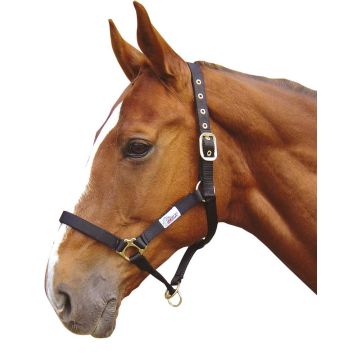 Harry's Horse Halter controller