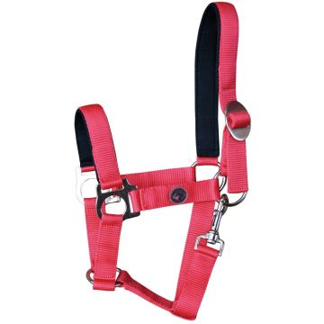 Harry's Horse Halter bridoonded Full Red