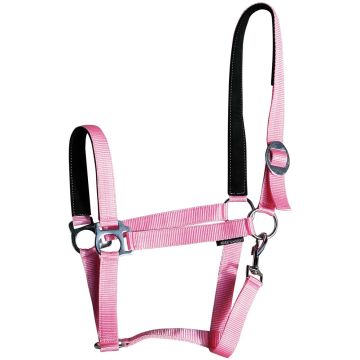 Harry's Horse Halter bridoonded Cob Pink