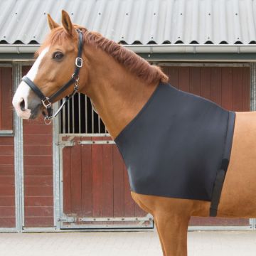 Harry's Horse Chest protector lycra