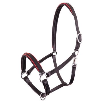 Premiere Leather halter Charleroi