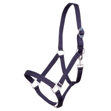 Premiere halter Shetland Blue